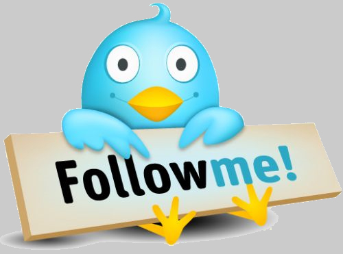 Twitter Follow Me
